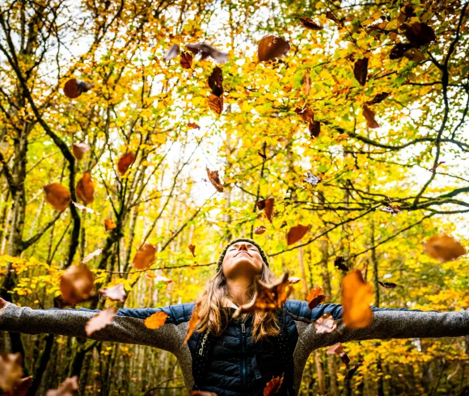 Automne dans le Pays de Gex - Monts Jura
