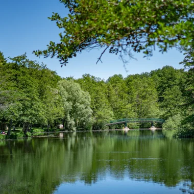 Etang de Cessy