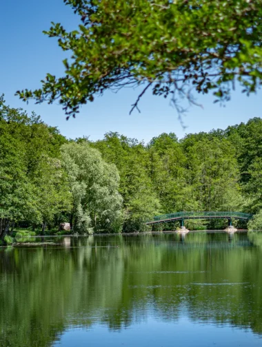 Etang de Cessy