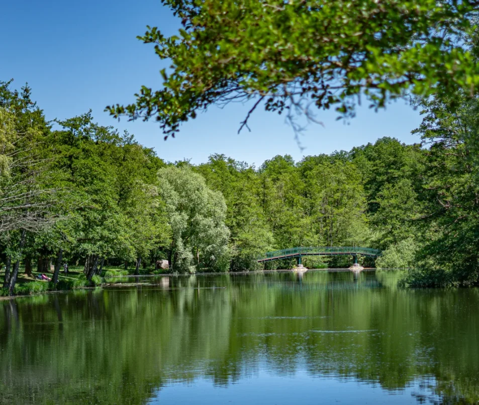 Etang de Cessy