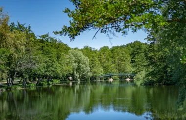 Etang de Cessy