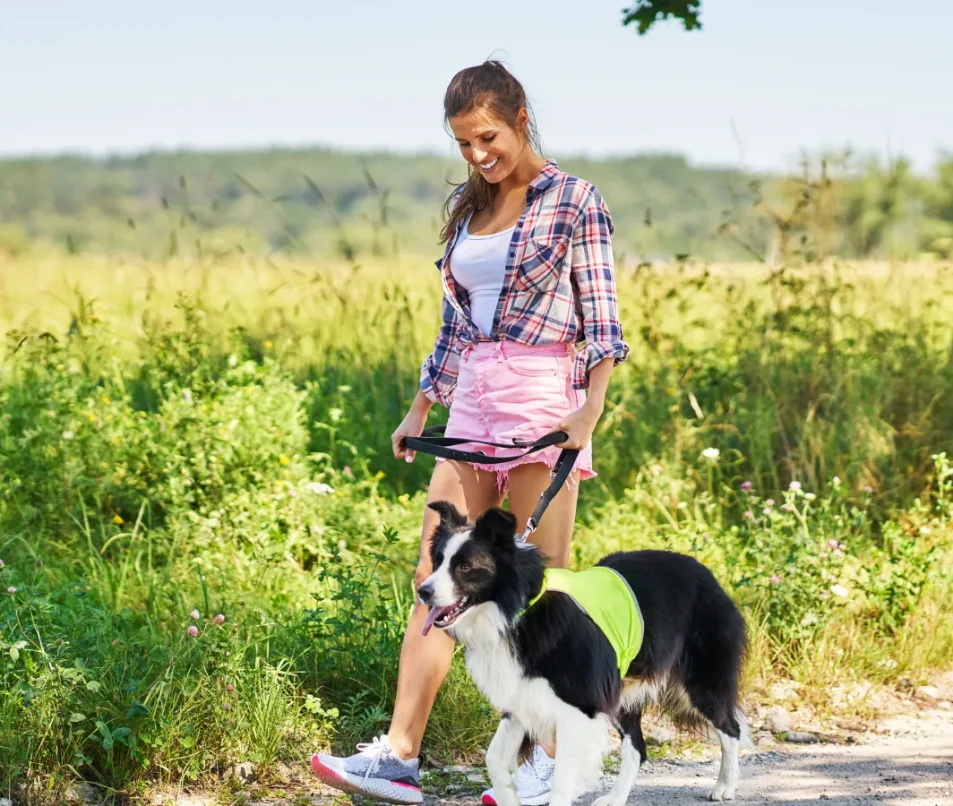 Balade avec les chiens dans le Pays de Gex