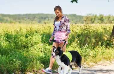 Balade avec les chiens