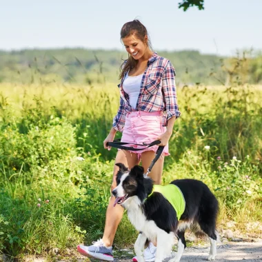 Balade avec les chiens