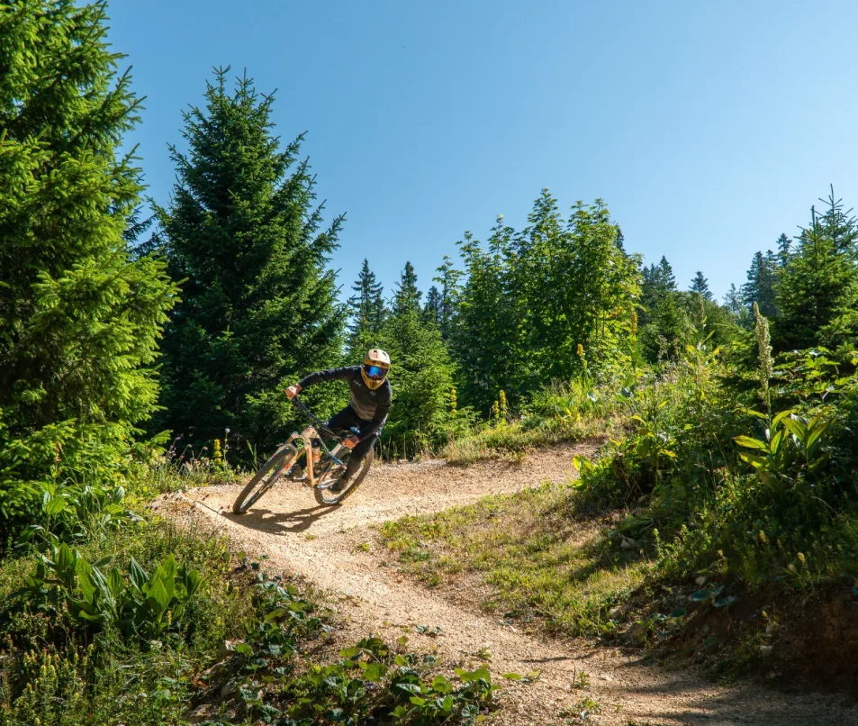 Bike park Col de la Faucille