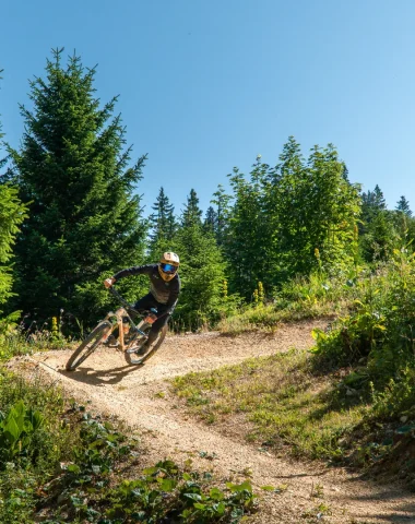 Downhill-Mountainbiking und Bike Park des Monts Jura