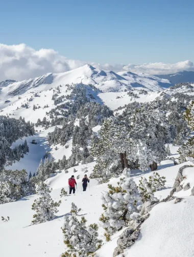 Raquettes Crêt de la Neige