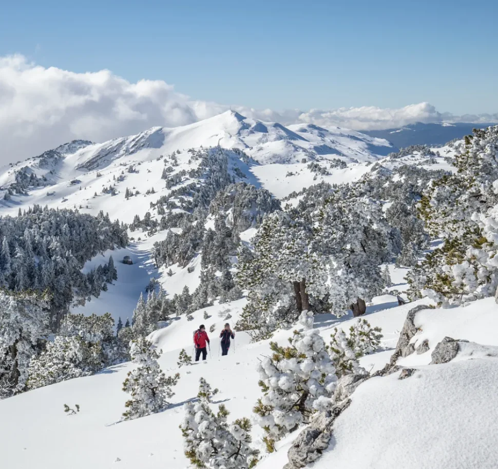 Raquettes Crêt de la Neige