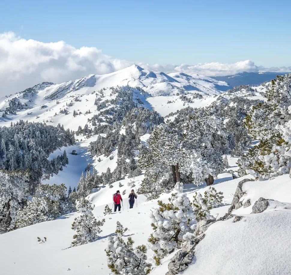 Bannière home page V2