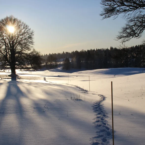 Itinéraire raquettes - Chouette