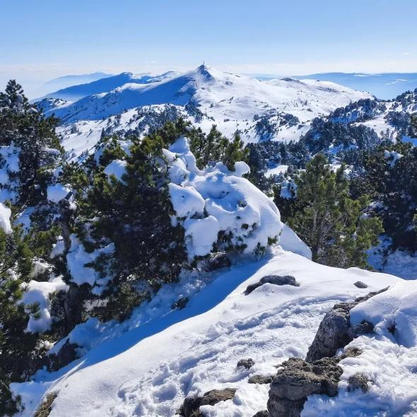 Randonnée raquettes crêt de la neige
