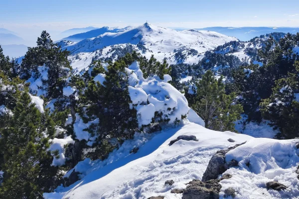 Randonnée raquettes crêt de la neige