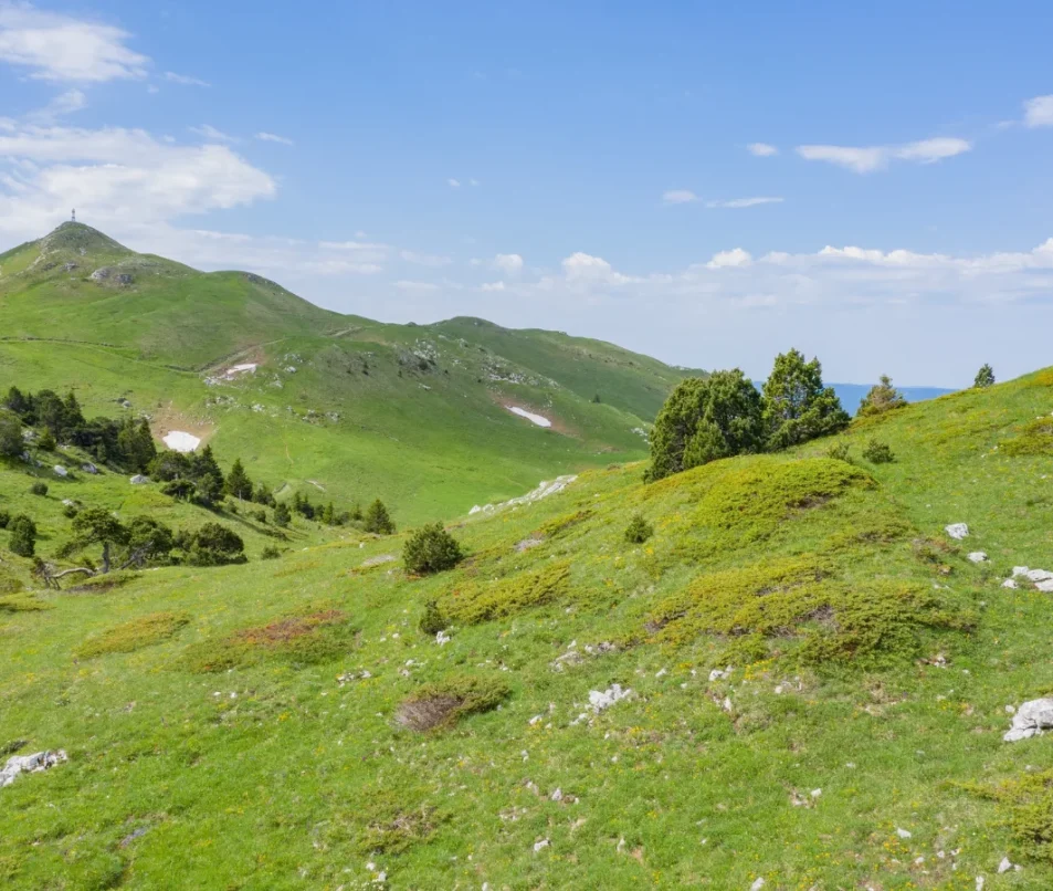 Réserve naturelle de la Haute chaine du Jura