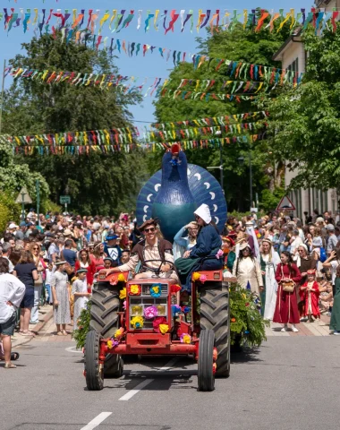 Fête de l'oiseau