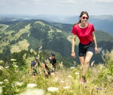 Hiking and trails in the Monts Jura