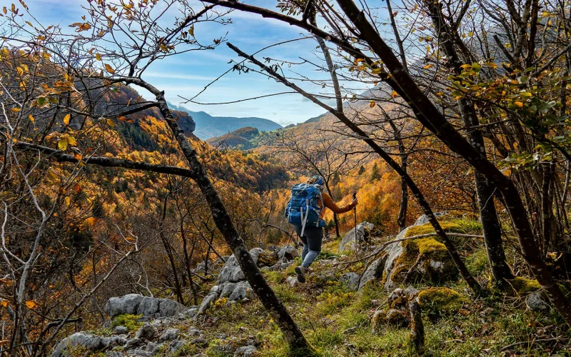 Hiking