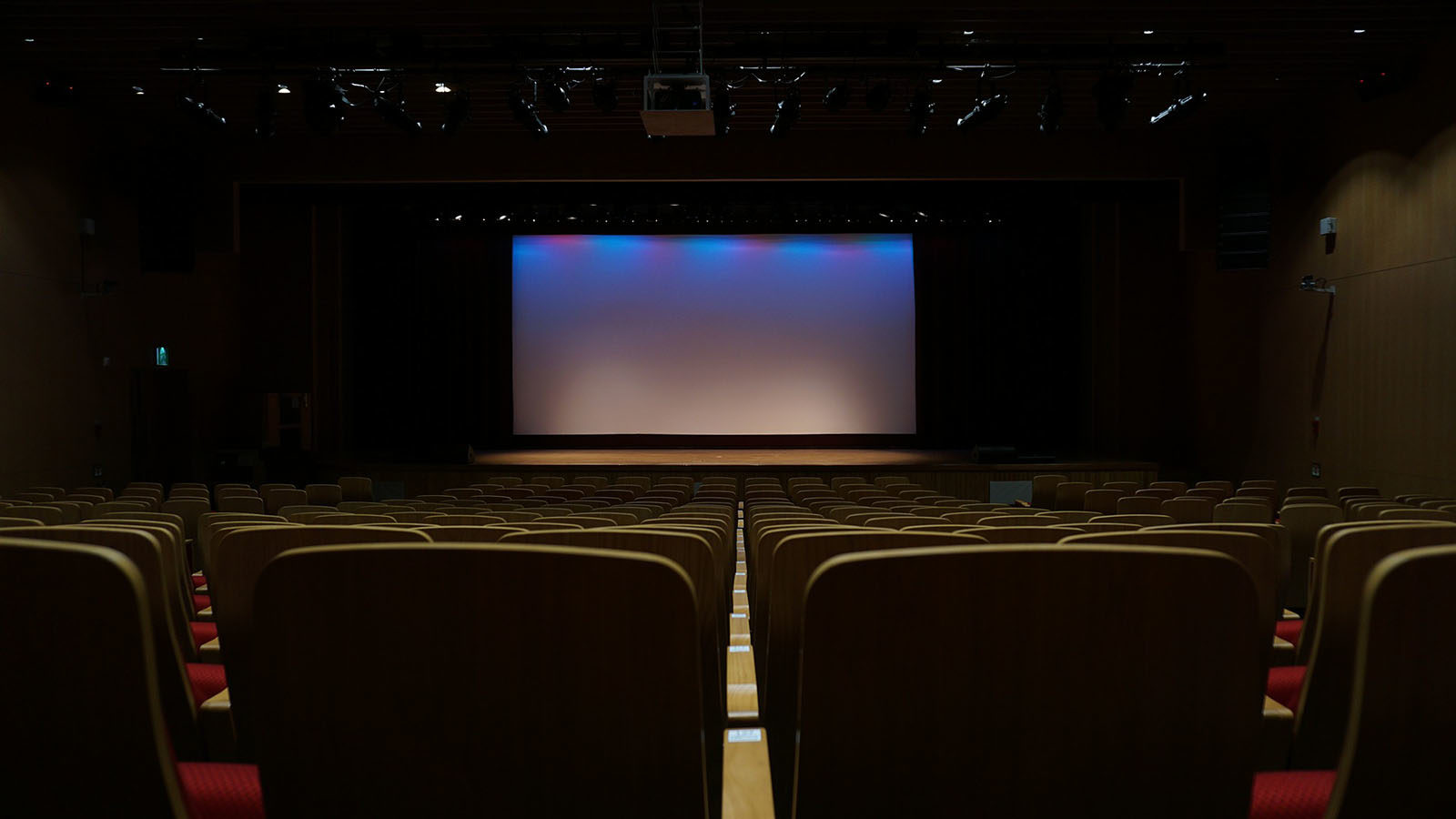 Cinemas, theaters, performing arts venues and and libraries