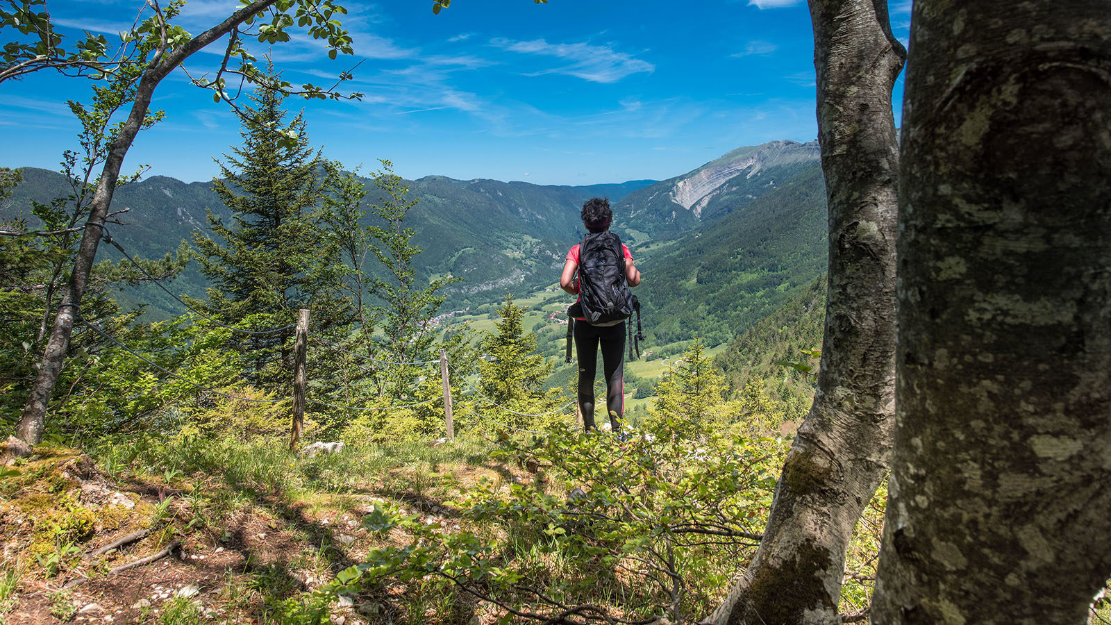 Hiking & trail