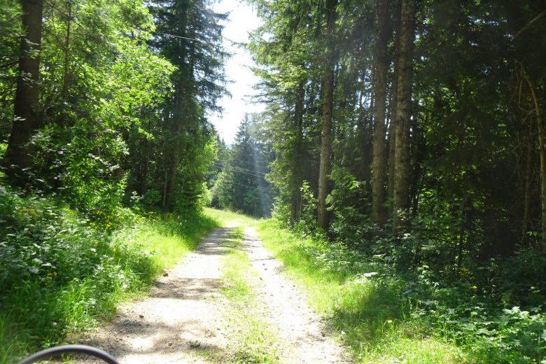 Mijoux green trail