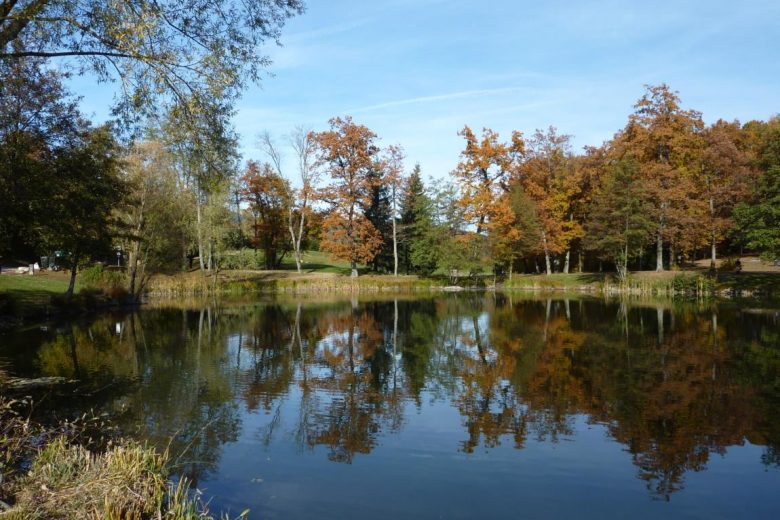 L’étang de Cessy en automne