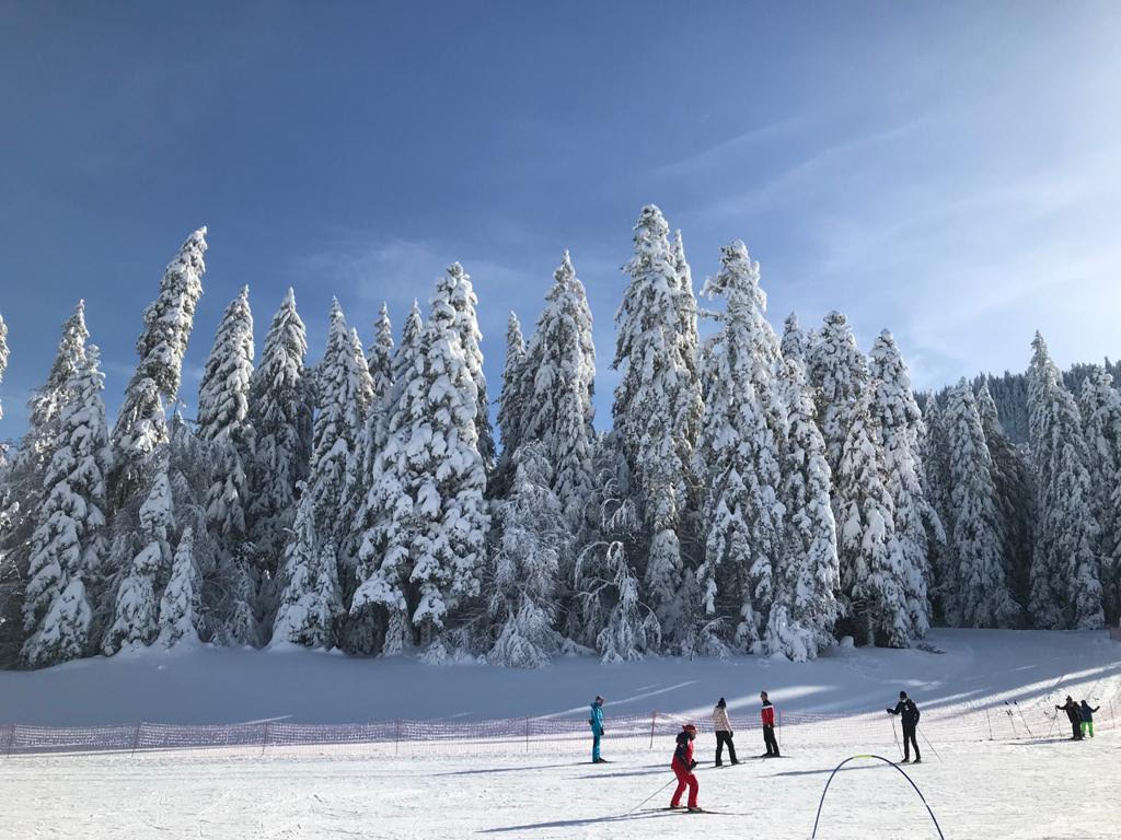 Cours de ski de fond à la Vattay