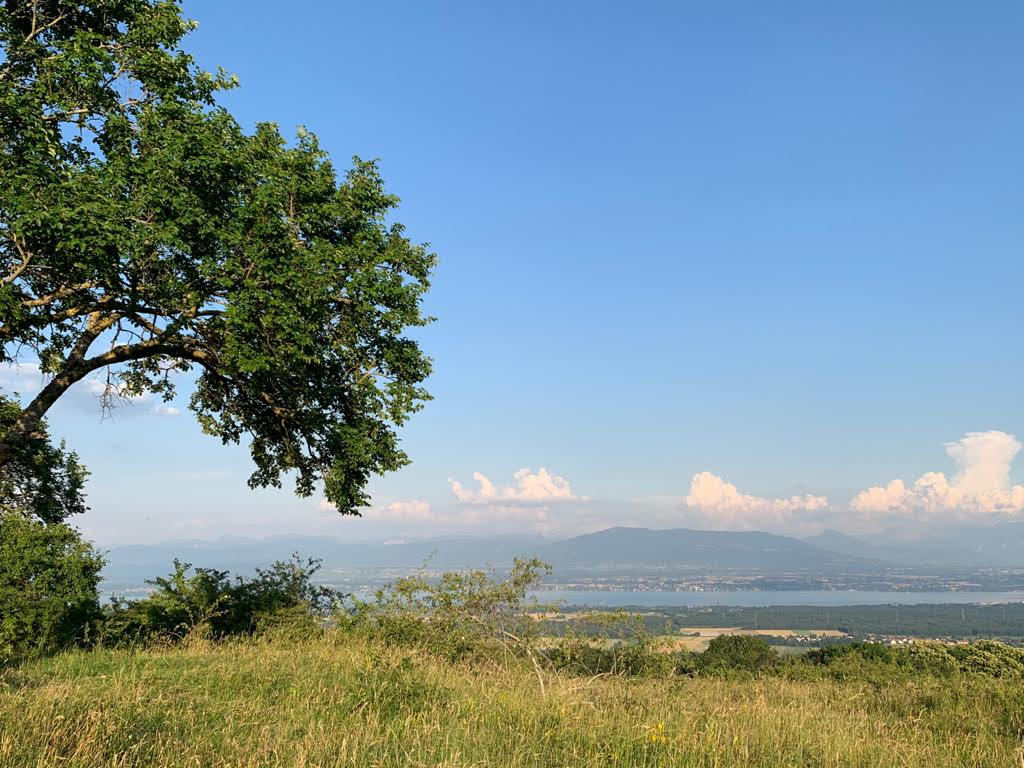 Vue depuis le Mont Mourex
