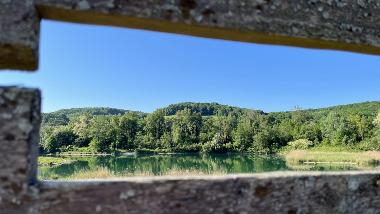 Reconnexion à la nature dans la destination Pays de Gex – Monts Jura
