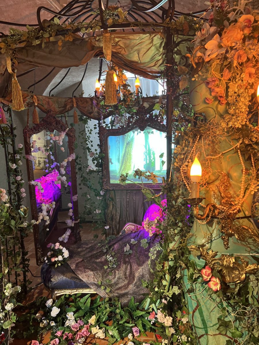 Exposition Fantaisies pour un palais