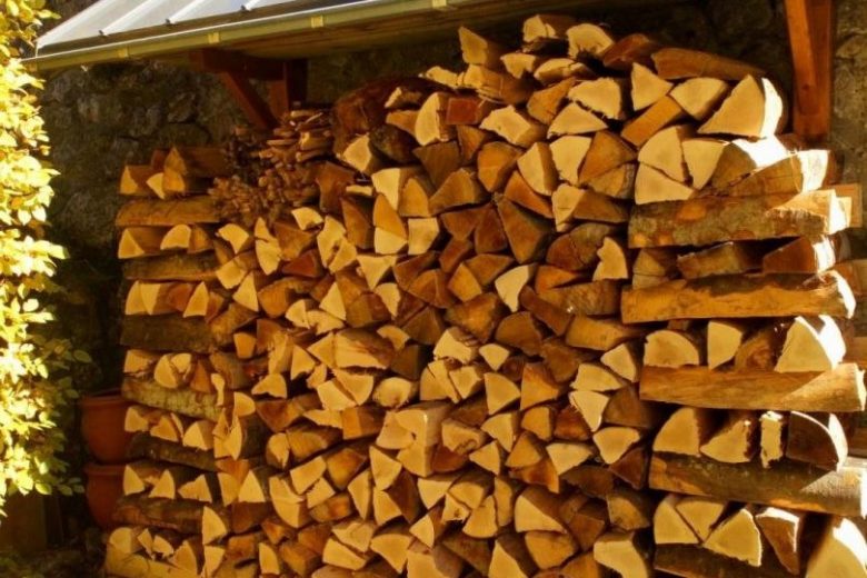 belle pile de bois