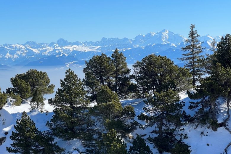 Les Monts Jura, avec la vue sur la chaine des Alpes.