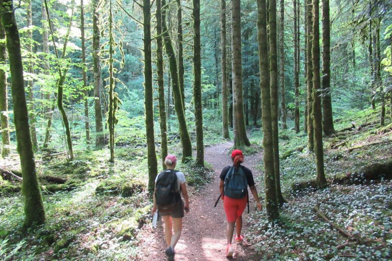 Chemin de randonnée