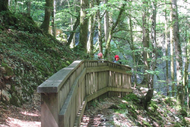 Chemin de randonnée