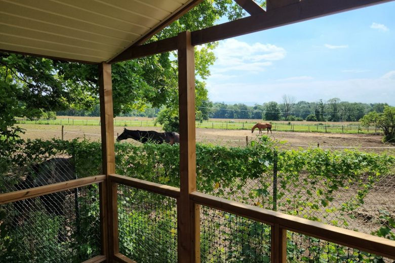 Mobil home vue centre equestre